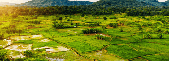 Malawi's New Imports Ban: A Diplomatic Crisis or a Catalyst for Greater Economic Independence?